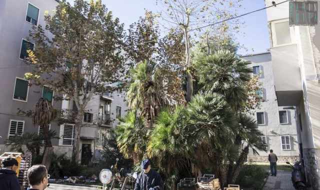 Case basse, giardini, mercati all'aperto e ponticelli:  la Japigia sorta negli anni 50